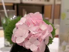 -深圳罗湖木棉花凯悦尚选酒店•大堂吧