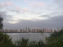 -厦门园林博览苑