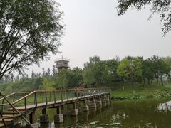 -东郊湿地公园