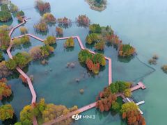-贡湖湾湿地公园