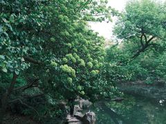 -惠山古镇·寄畅园