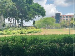 -宝安西湾红树林湿地公园