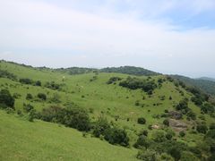 -大姆山草场