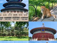 -天坛公园
