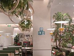 -Aqua Oasis 水天堂(太湖中心mall店)