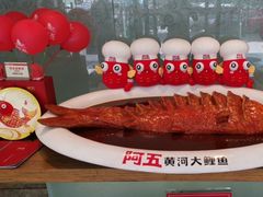 -阿五黄河大鲤鱼(英协路店)