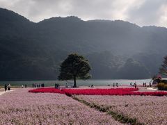-广州市石门国家森林公园