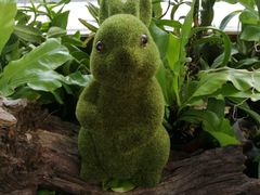 -北京植物园-展览温室