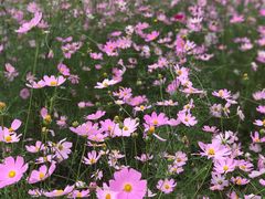 -泉州海丝野生动物世界