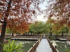 -五缘湾湿地公园