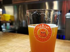 -Devils’ Brewery小恶魔精酿啤酒(武汉天地店)