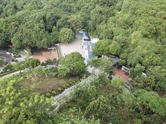 -清溪大王山森林公园