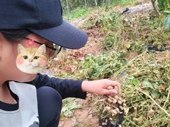 -百果山乐享果玩
