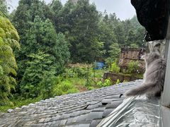 -大罗山风景区