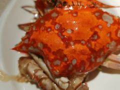 -阿莉餐厅(枣阳路店)