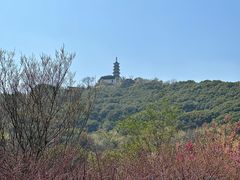 -苏州上方山国家森林公园