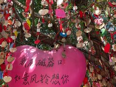 -磁器口古镇