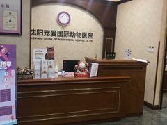 -宠爱国际动物医院· 猫科· 外科·中兽医(长白店)
