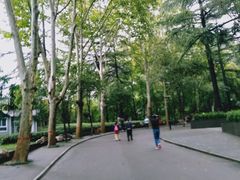 -西安市长乐公园