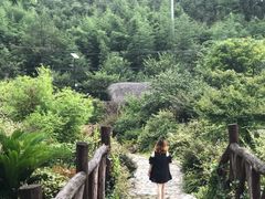 -看见远方·莫干遥远的山民宿