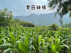 -京北渔家傲