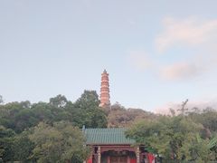 -榴花公园
