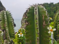 -平潭岛•仙人井