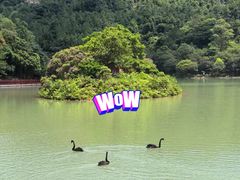 -广州白江湖森林公园