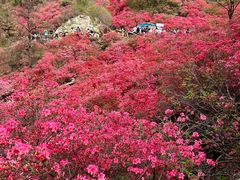 -木兰云雾山