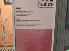 -CloudD'or可露朵蛋糕(1733商业空间店)