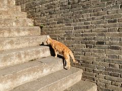 -长春观