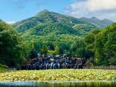 -吉林市朱雀山国家森林公园