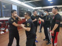 -温鉴良实用咏春拳