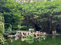 -九龙公园