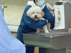 -康乐宝动物医院