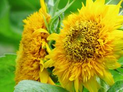 -玄武湖景区-情侣园游乐场