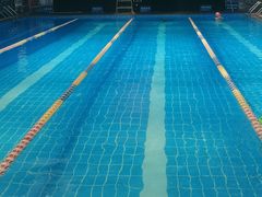 -奇缘游泳培训基地(辰茂店)