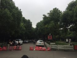 -上海交通大学医学院附属上海儿童医学中心(陆家嘴总院区)