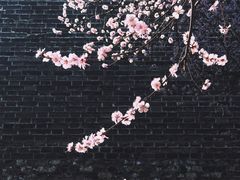 -北京明城墙遗址公园
