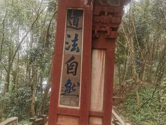 -成都老君山