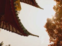-莫干山风景区