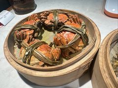 -杨氏青龙虾·羊蝎子(金盛路总店)