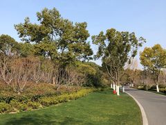 -昆山城市生态森林公园