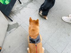 -星巴克(南宁华润幸福里店)