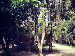 -Bamboo Saturday Market(Nana Jungle)