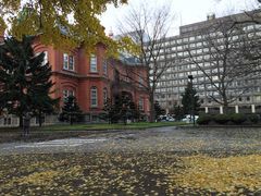 iphone_upload_pic-北海道厅旧本厅舍(旧本庁舎)