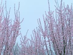 -钟山体育运动公园