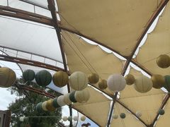 -怀托摩萤火虫洞