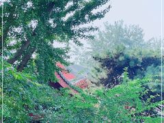 -钓鱼台国宾馆