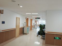 -上海市第四人民医院